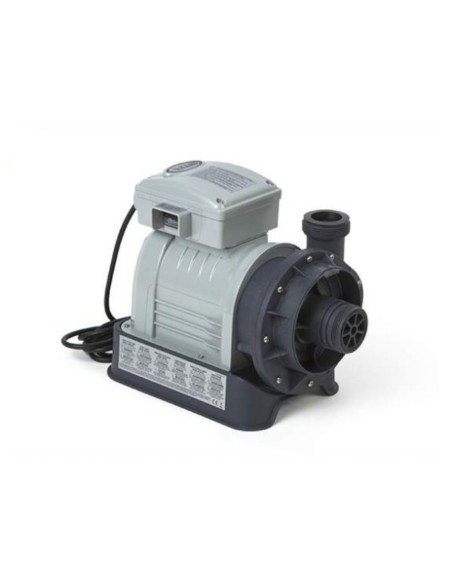 Motor con 0.50 caballos de potencia para depuradora de Arena con capacidad para mover 10,5 L/h. No incluye pre filtro.
